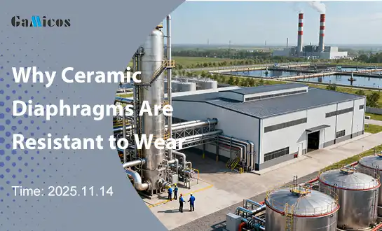 Why Ceramic Diaphragms Are Resistant to Wear?